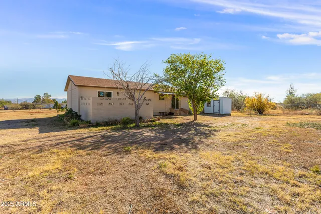 a row of palm trees and a big yard