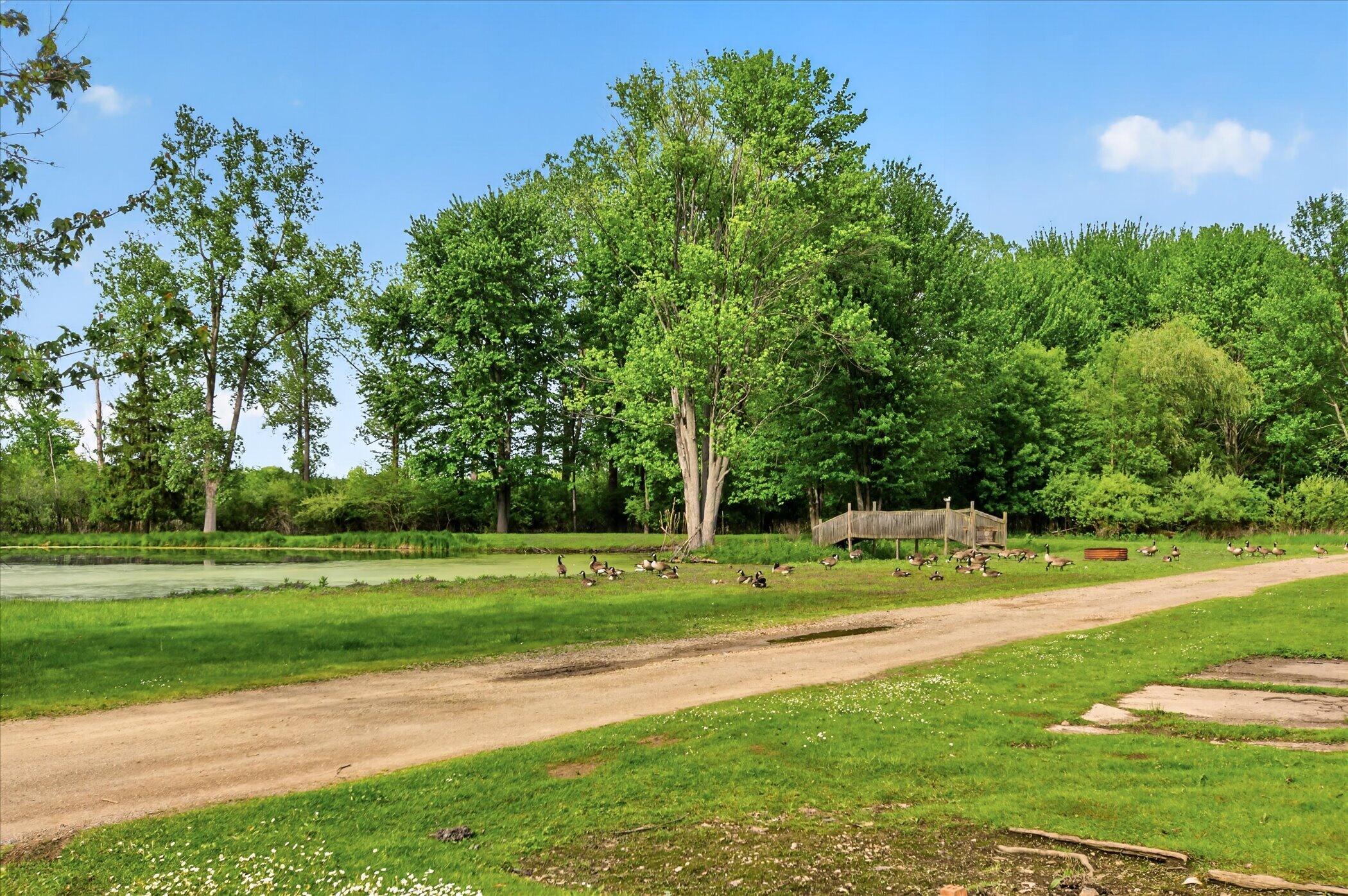 9489 Hyde Road Clarklake, MI 49234 - Photo 45 of 48 45-9489-Hyde-Rd-WindowStill