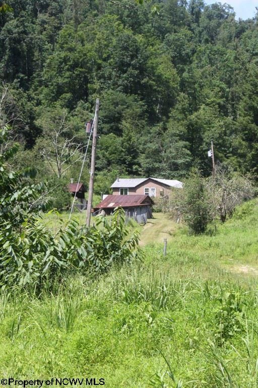 572 Negro Camp Road Hacker Valley, WV 26222 - Photo 18 of 20 Gallery Image 18