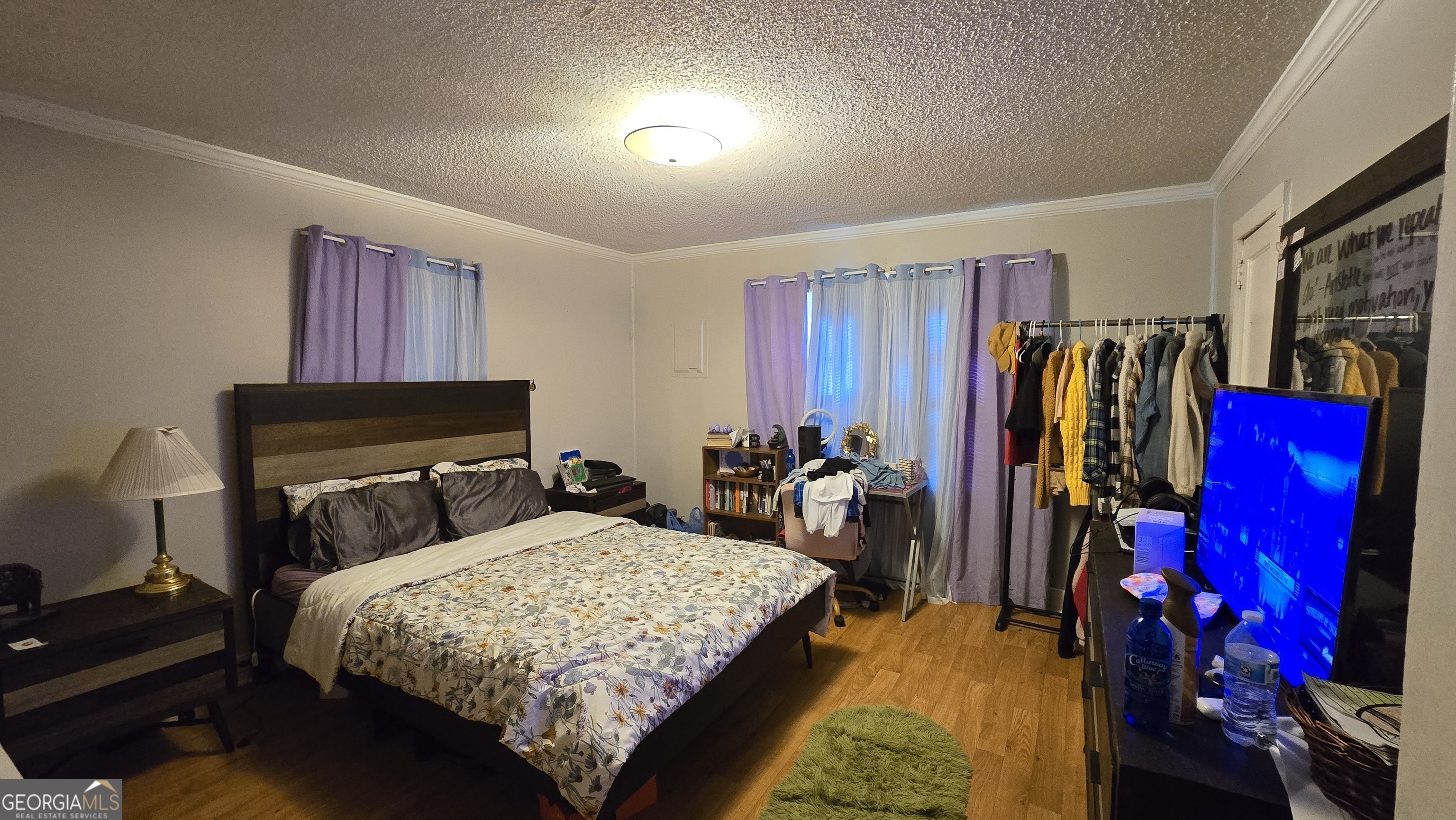 377 Dock Hyde Road Carrollton, GA 30116 - Photo 19 of 31 a bedroom with a bed and a closet