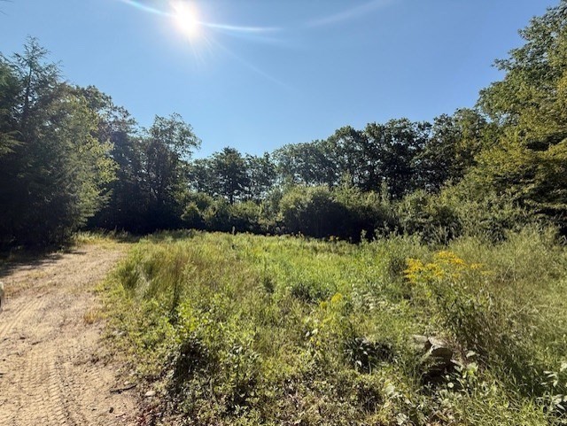 149 Bragg Hill Road Westminster, MA 01473 - Photo 5 of 11