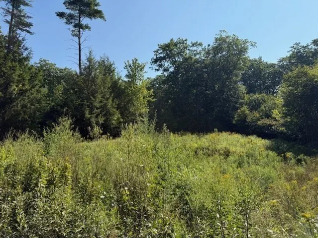 $975,000 | 149 Bragg Hill Road, Westminster, MA 01473