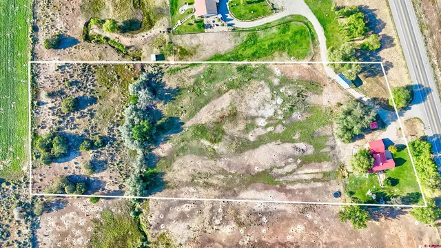 a view of a garden with a tree