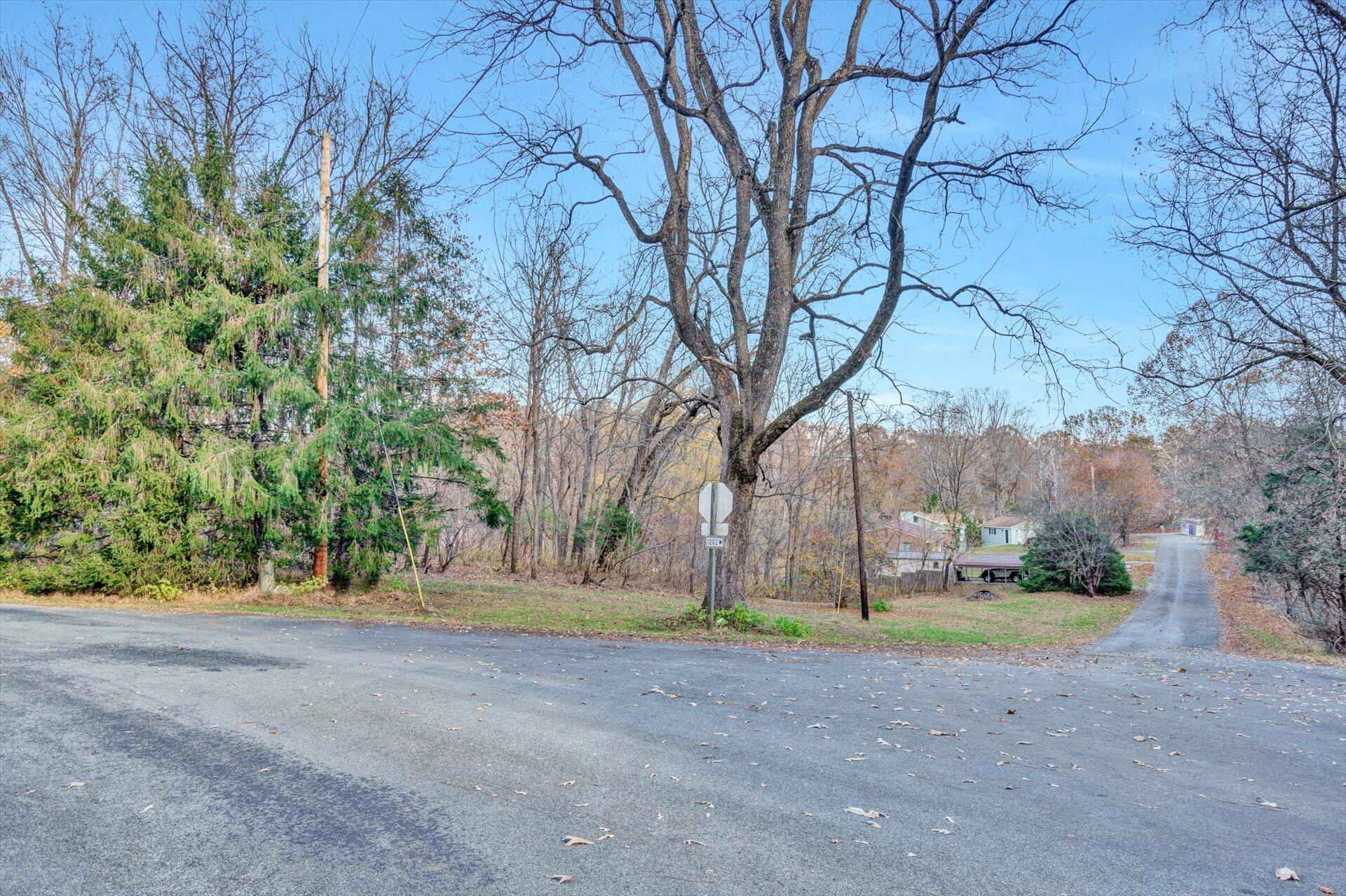51 Island Road Hardy, VA 24101 - Photo 54 of 55 52-111820210085
