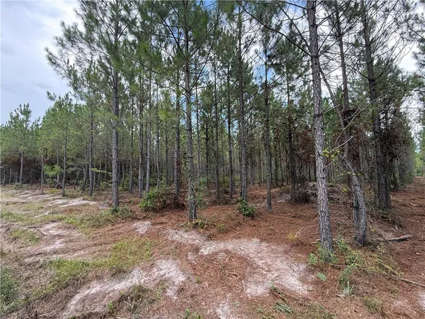 $37,500 | 3 Corbitt Road, Manor, GA 31550