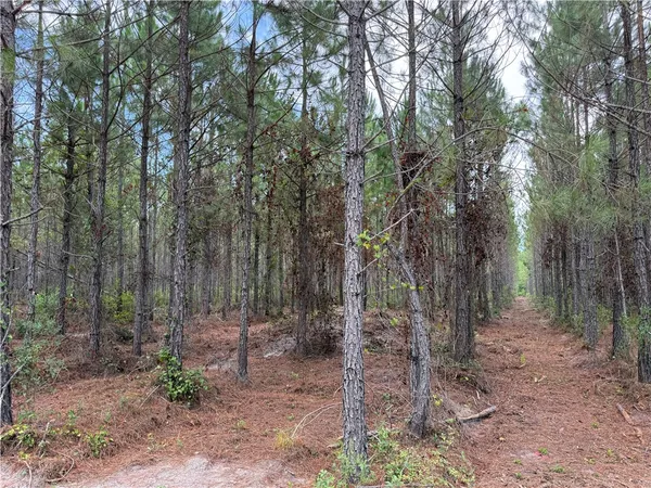 $37,500 | 3 Corbitt Road, Manor, GA 31550