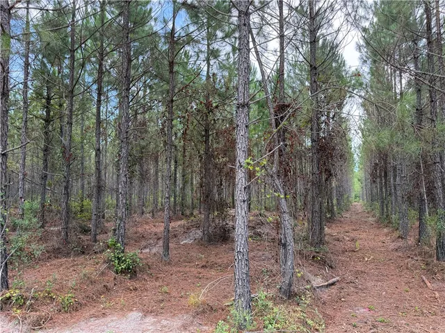 $46,285 | 3 Corbitt Road, Manor, GA 31550