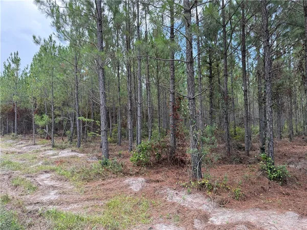 $37,500 | 3 Corbitt Road, Manor, GA 31550