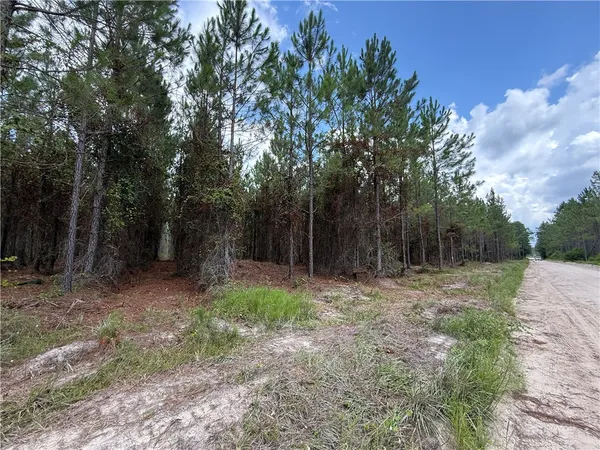 $37,500 | 3 Corbitt Road, Manor, GA 31550