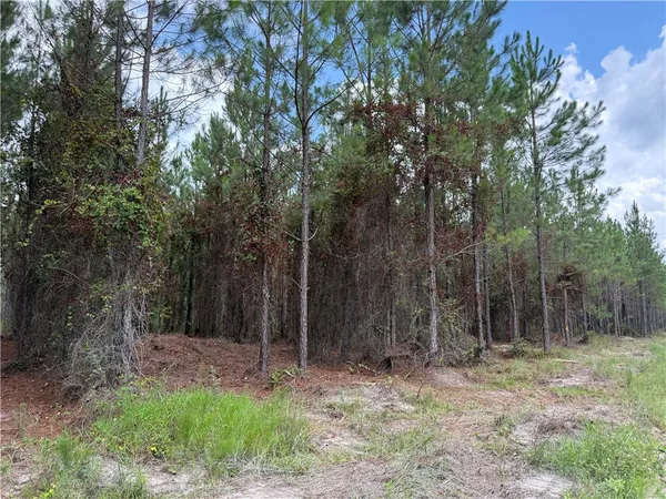 $37,500 | 3 Corbitt Road, Manor, GA 31550