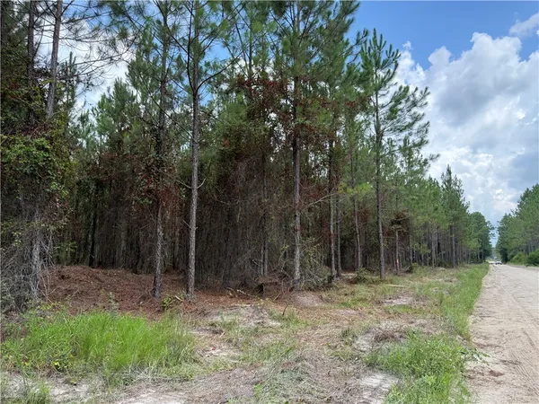 $37,500 | 3 Corbitt Road, Manor, GA 31550