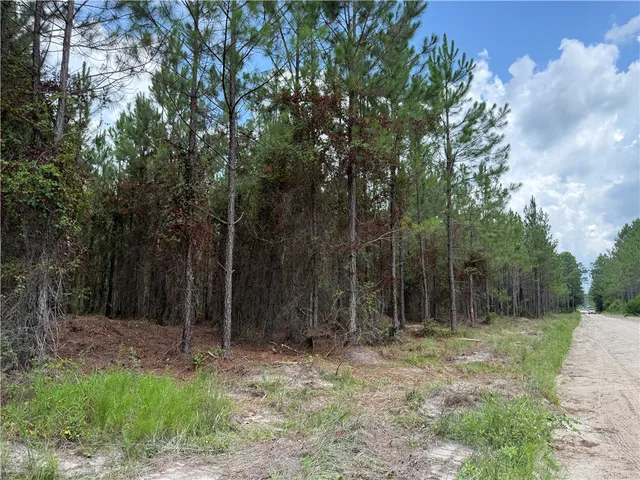 $46,285 | 3 Corbitt Road, Manor, GA 31550