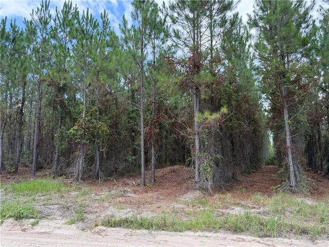 $46,285 | 3 Corbitt Road, Manor, GA 31550