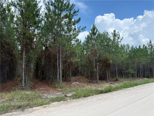 $46,285 | 3 Corbitt Road, Manor, GA 31550