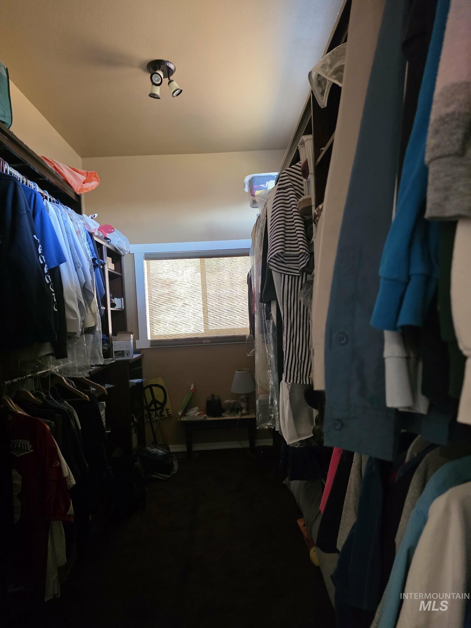 809 River Pointe Lane Lenore, ID 83541 - Photo 32 of 43 Walk in closet featuring dark carpet