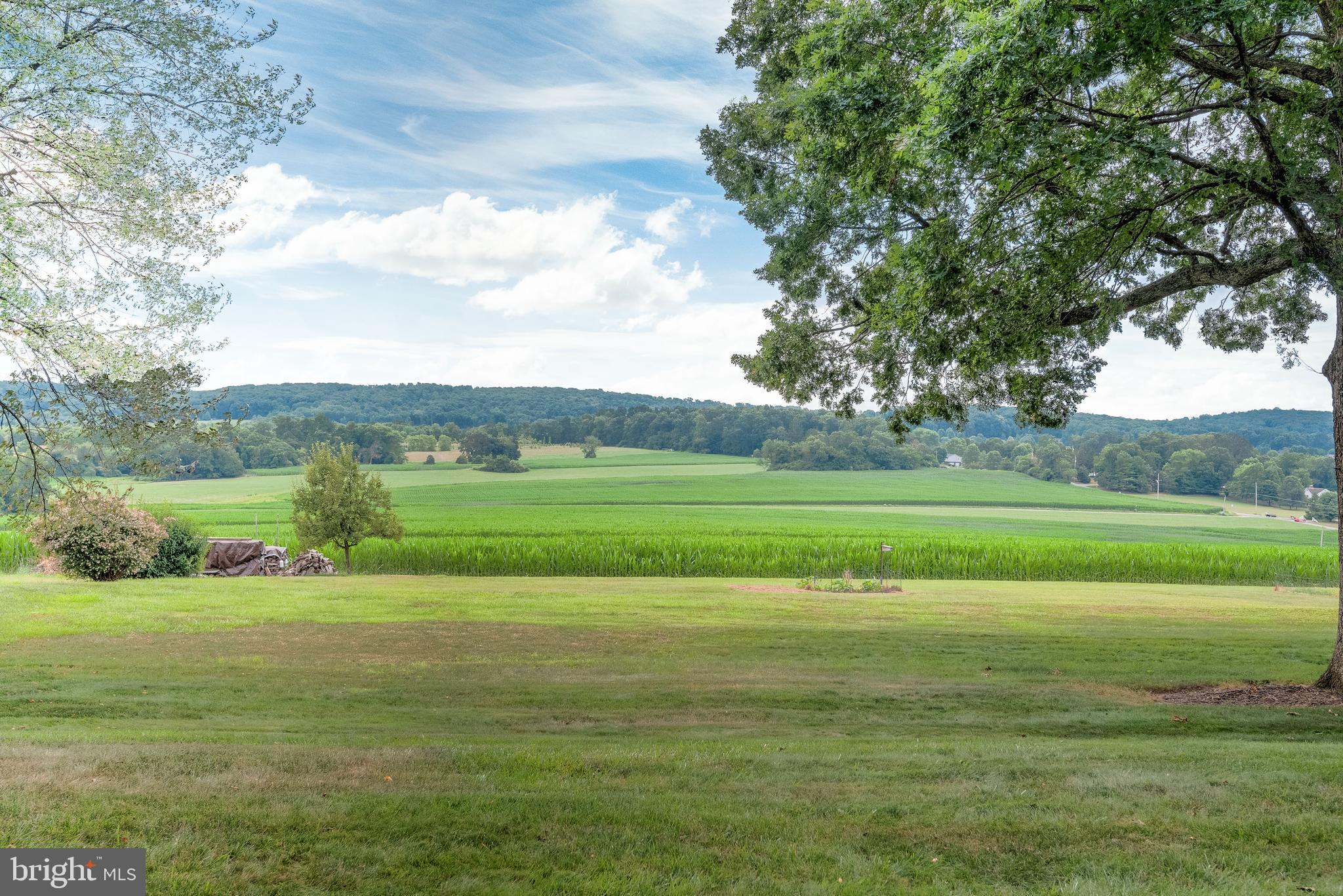 5362 Field Pointe Drive Spring Grove, PA 17362 - Photo 11 of 43 a view of field with grass and trees