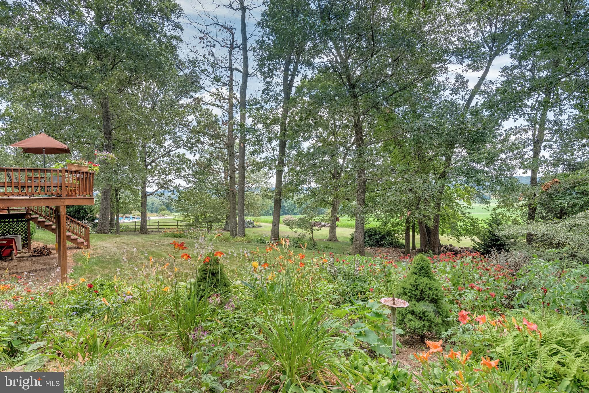 5362 Field Pointe Drive Spring Grove, PA 17362 - Photo 13 of 43 a view of a park with large trees