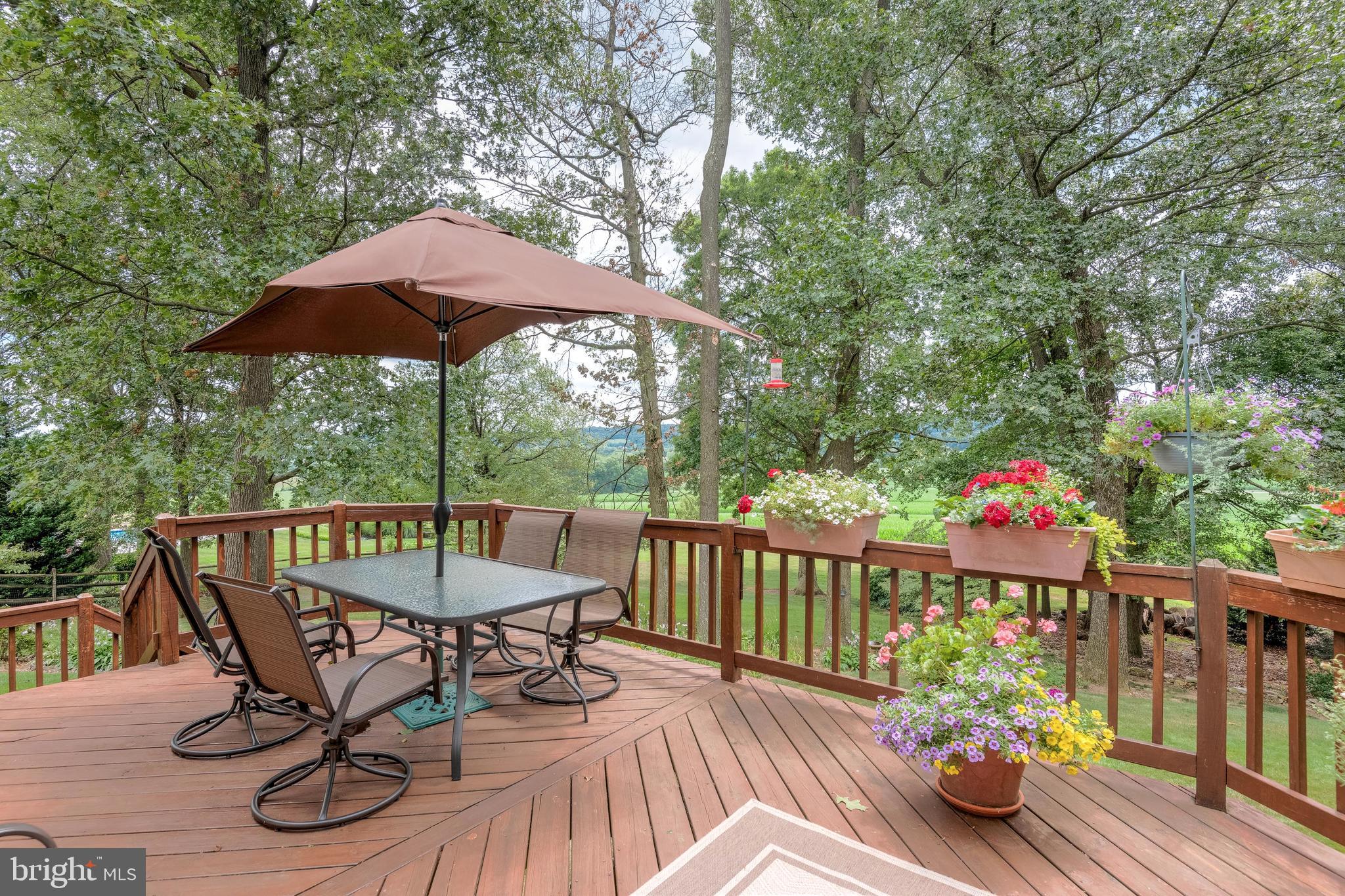 5362 Field Pointe Drive Spring Grove, PA 17362 - Photo 18 of 43 a view of a table and chairs under an umbrella