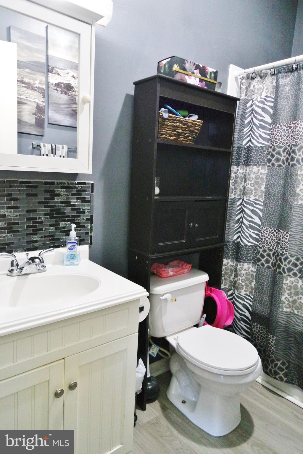 8148 Supinlick Ridge Road Mount Jackson, VA 22842 - Photo 32 of 39 a bathroom with a toilet a sink and a mirror