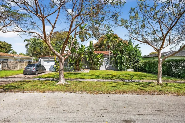 a view of a tree in the middle of a yard