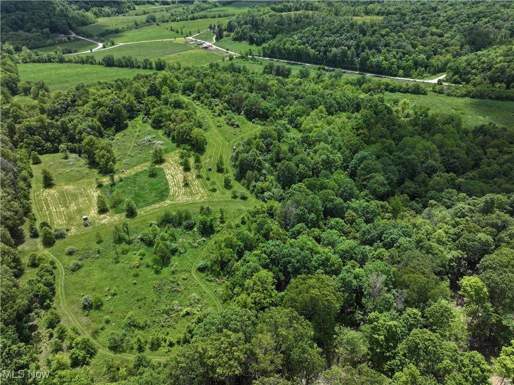North Star Road Pleasant City, OH 43772 - Photo 27 of 42 Food Plot