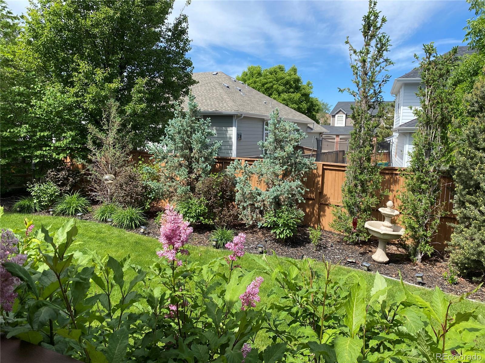 8671 South Mallard Place Highlands Ranch, CO 80126 - Photo 33 of 43