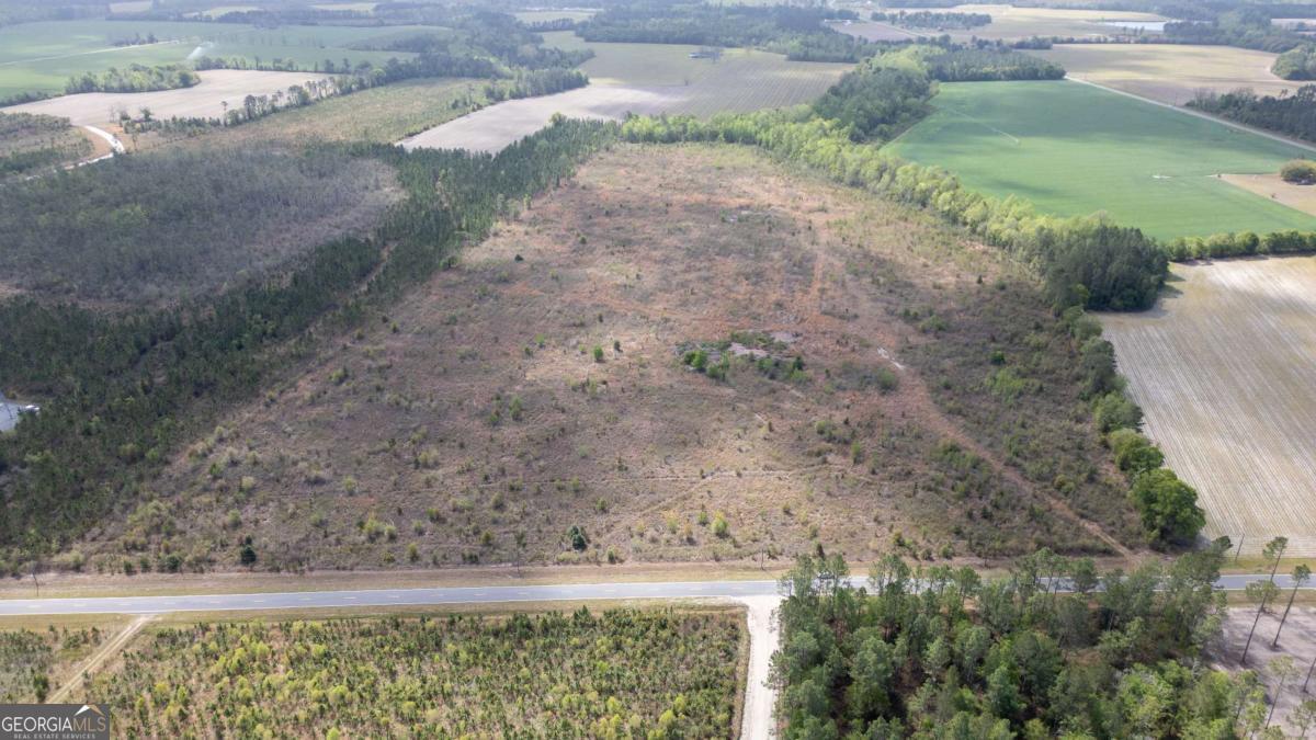 1 Piney Grove Church Road Baxley, GA 31513 - Photo 11 of 11 a view of a yard with an outdoor space