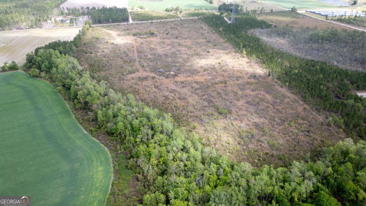 1 Piney Grove Church Road Baxley, GA 31513 - Photo 2 of 11 a view of a yard with plants and large trees