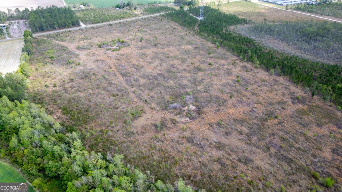 1 Piney Grove Church Road Baxley, GA 31513 - Photo 3 of 11 a view of a dry yard with trees and stairs
