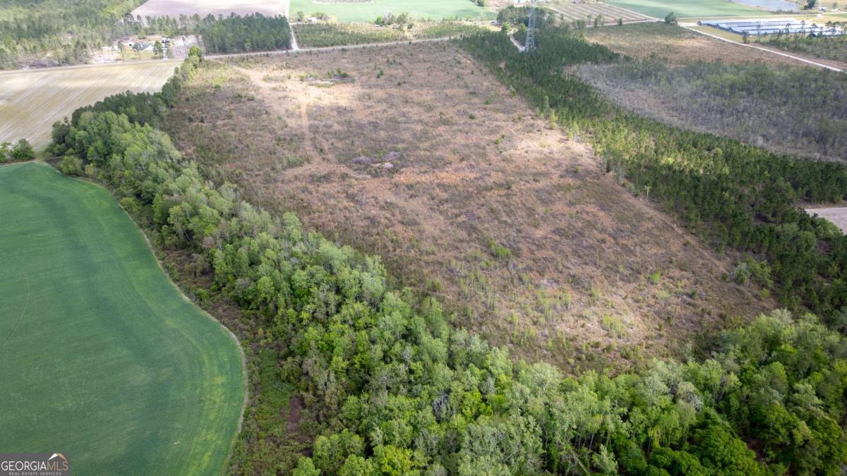 1 Piney Grove Church Road Baxley, GA 31513 - Photo 4 of 11 a view of a road with a yard