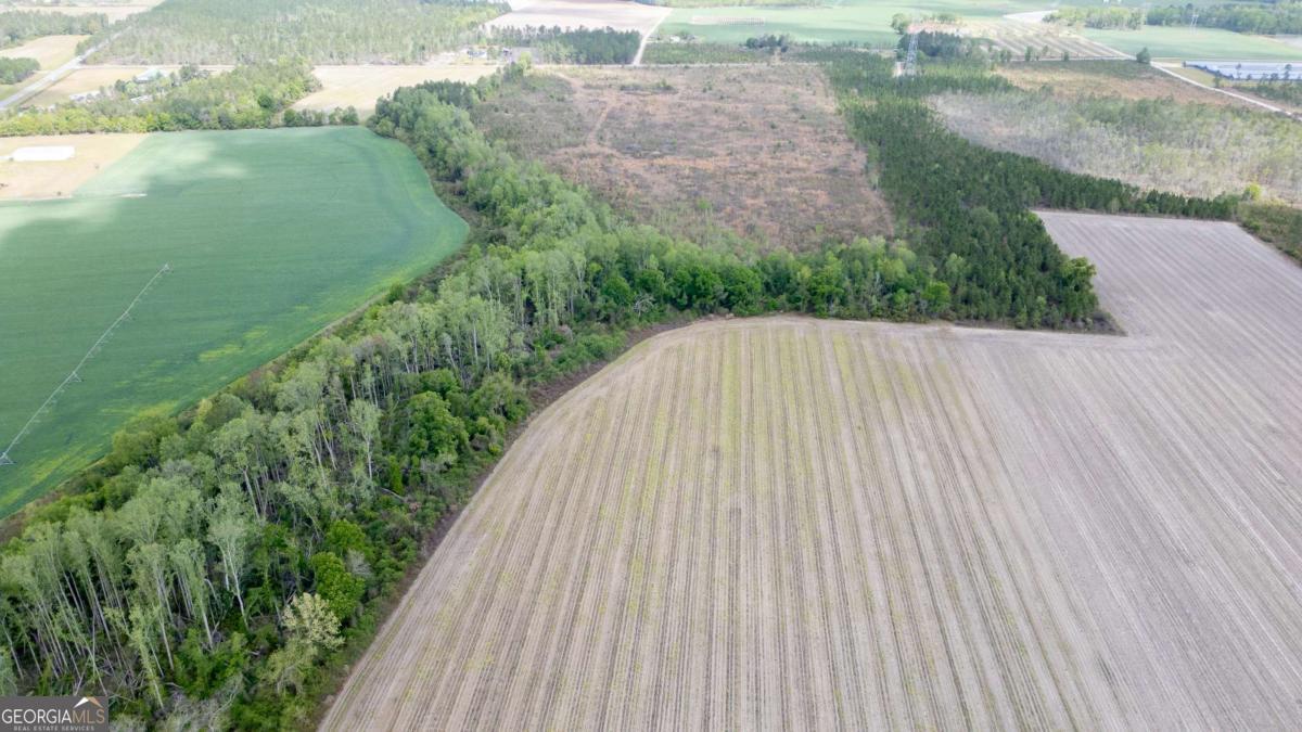 1 Piney Grove Church Road Baxley, GA 31513 - Photo 6 of 11 a view of a wooden floor and lake view