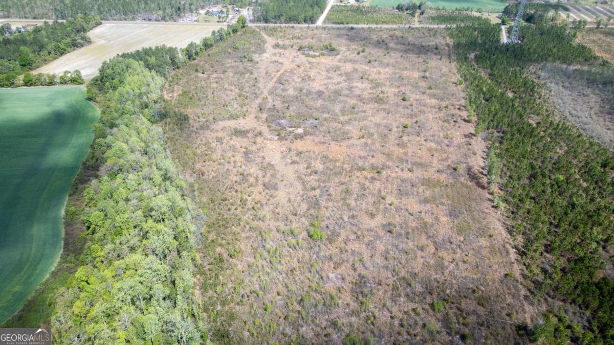 1 Piney Grove Church Road Baxley, GA 31513 - Photo 7 of 11 a view of a yard with a yard