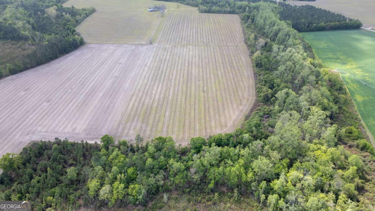 1 Piney Grove Church Road Baxley, GA 31513 - Photo 8 of 11