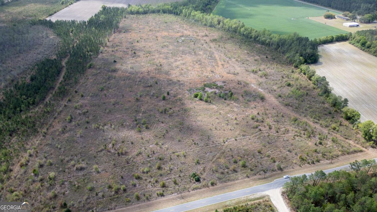 1 Piney Grove Church Road Baxley, GA 31513 - Photo 9 of 11 a view of a dry yard with wooden floor