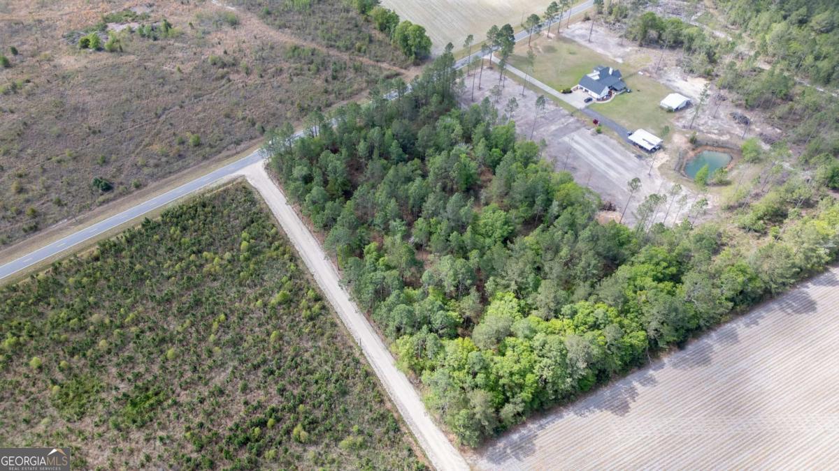 1 Piney Grove Church Road Baxley, GA 31513 - Photo 10 of 11 a view of a yard with plants