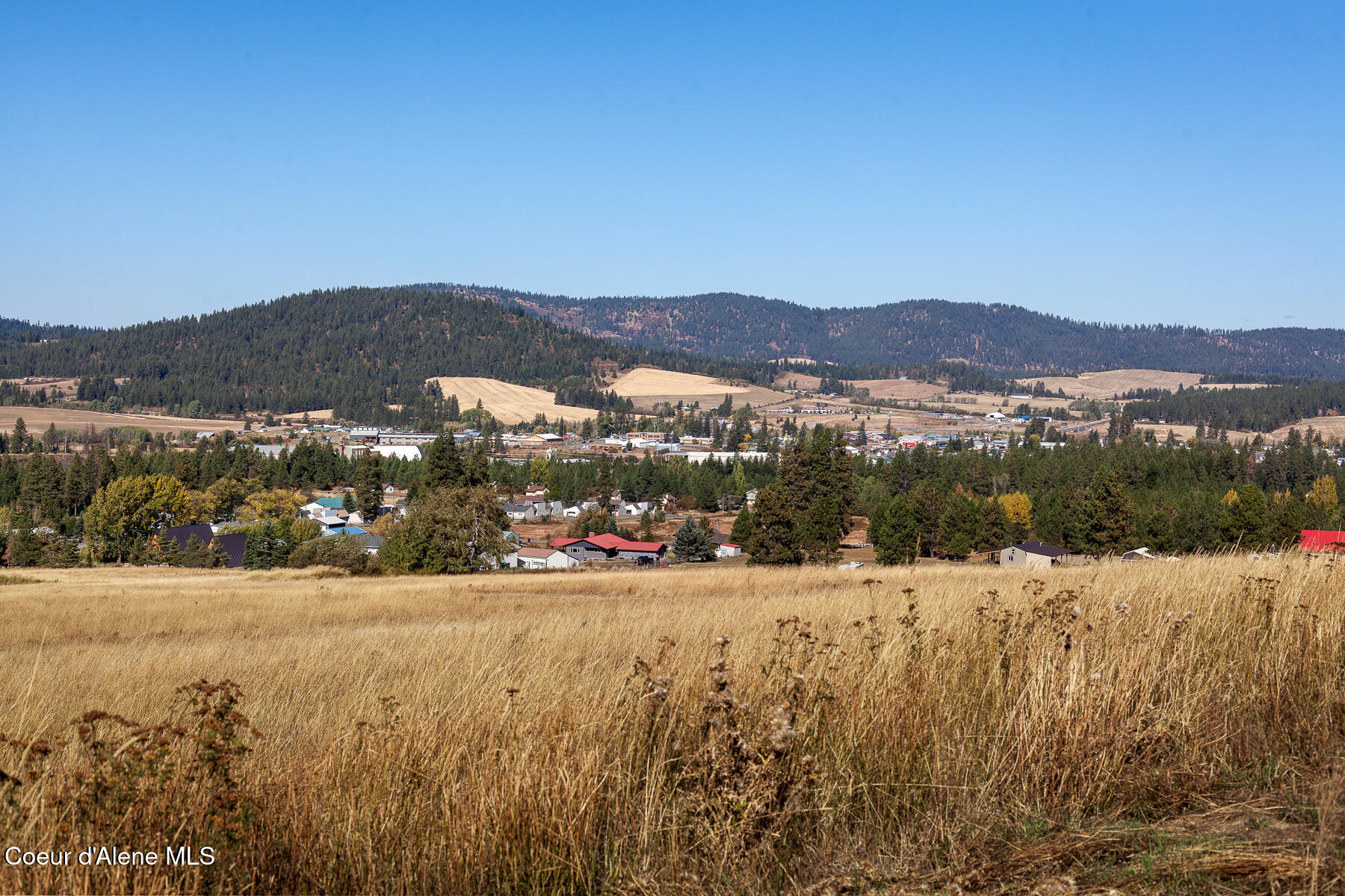 0 Thimbleberry Lane Plummer, ID 83851 - Photo 15 of 16 Landscape