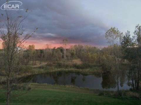 8091 Vantine Road Goodrich, MI 48438 - Photo 46 of 51 20442739-45.JPG