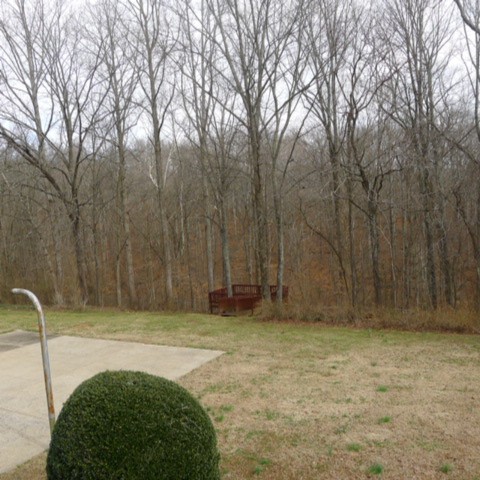 8300 Greenbrier Road Joelton, TN 37080 - Photo 27 of 30 Gallery Image 27