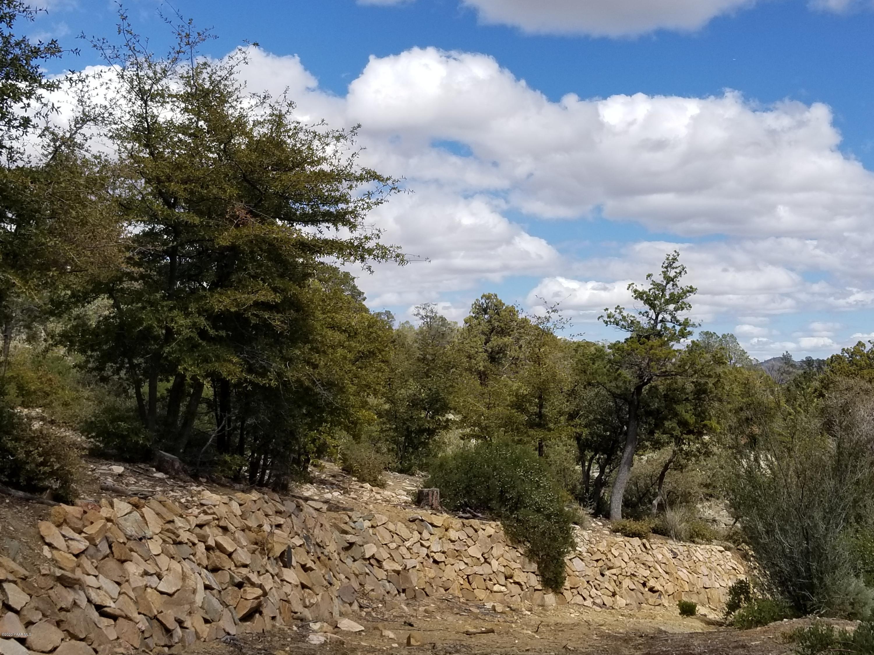 1050 High Valley Ranch Road Prescott, AZ 86303 - Photo 12 of 31 a view of a bunch of trees