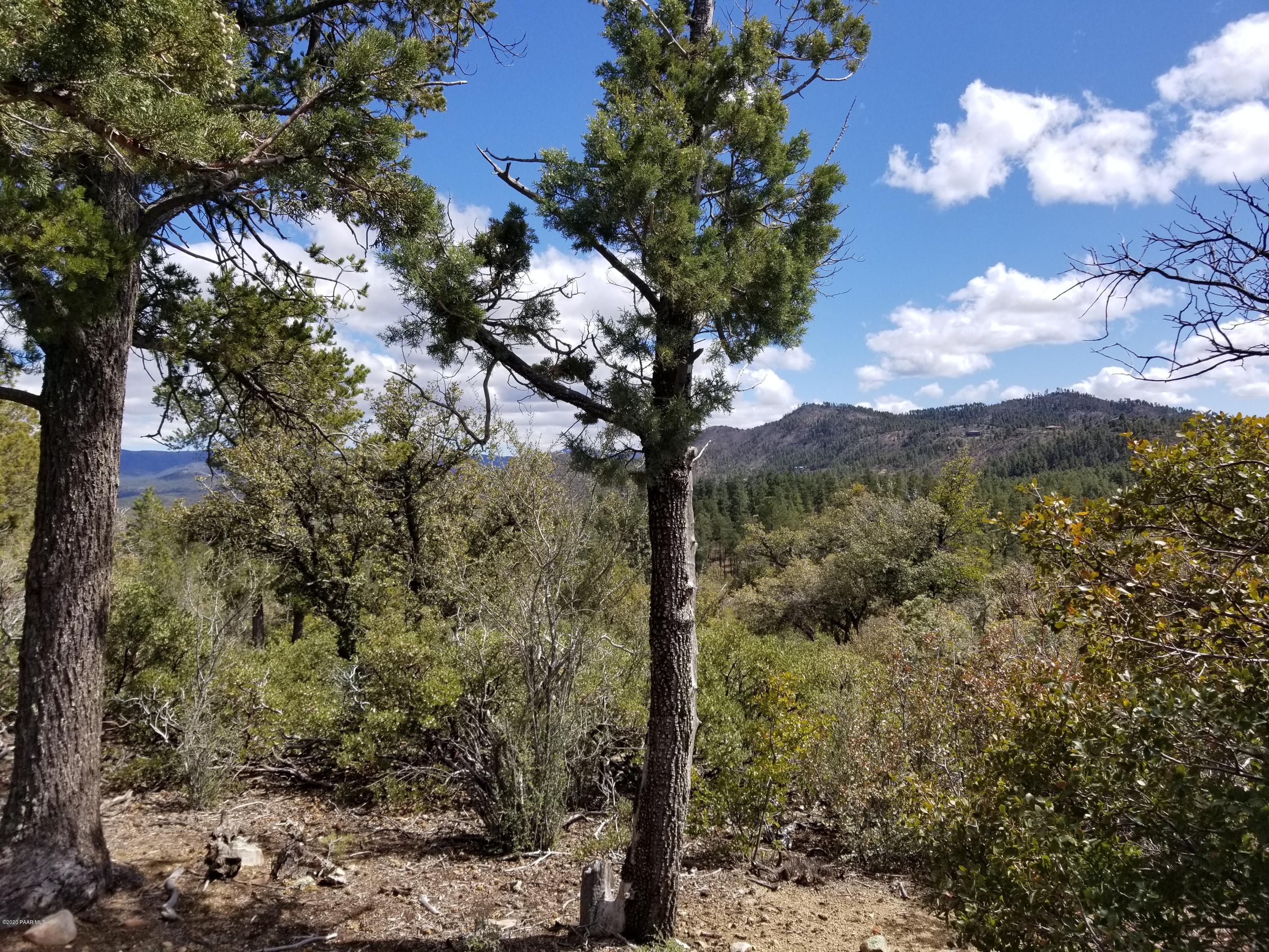 1050 High Valley Ranch Road Prescott, AZ 86303 - Photo 15 of 31 a view of a tree with a yard