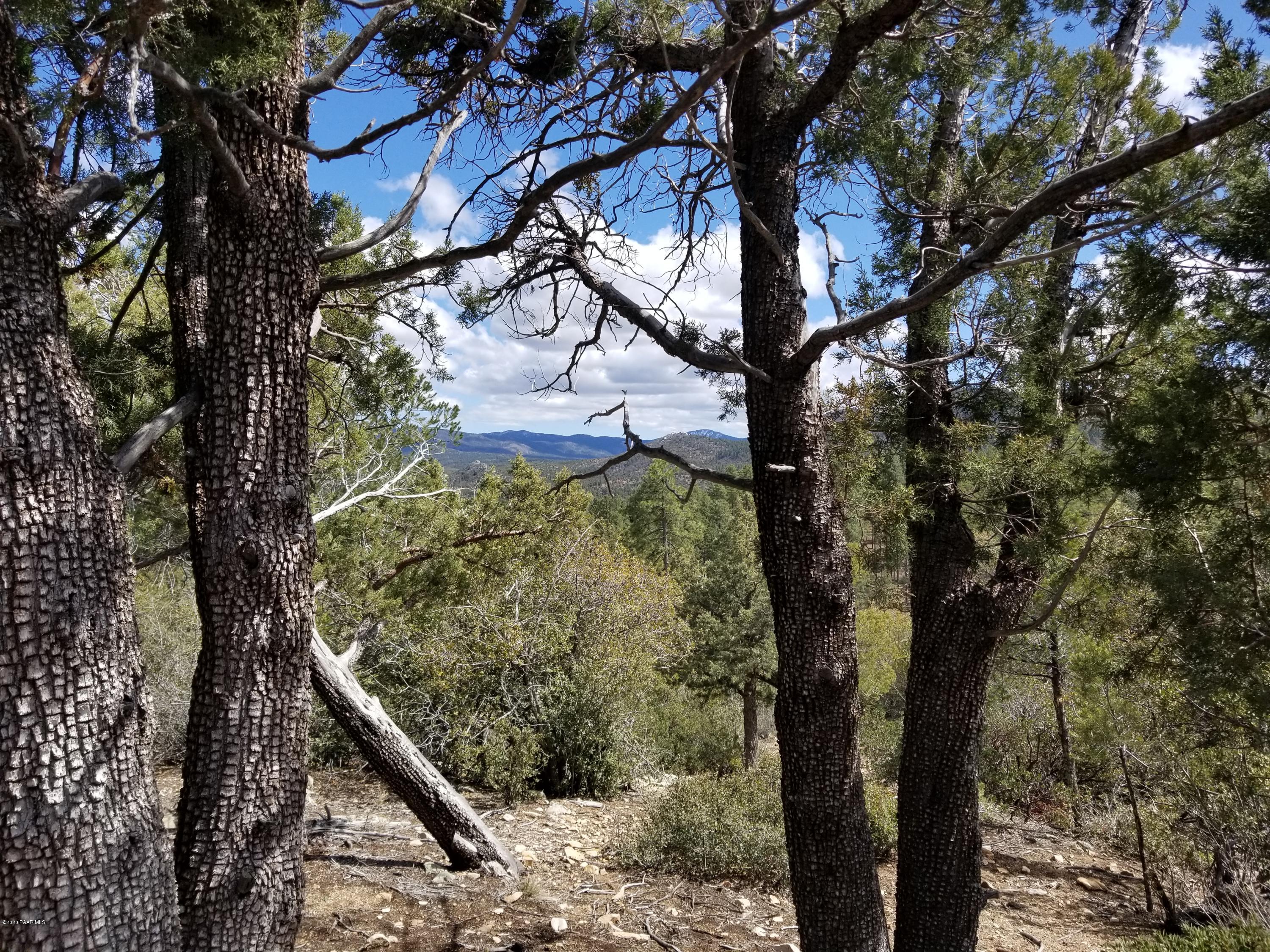 1050 High Valley Ranch Road Prescott, AZ 86303 - Photo 16 of 31 a view of a tree in the forest