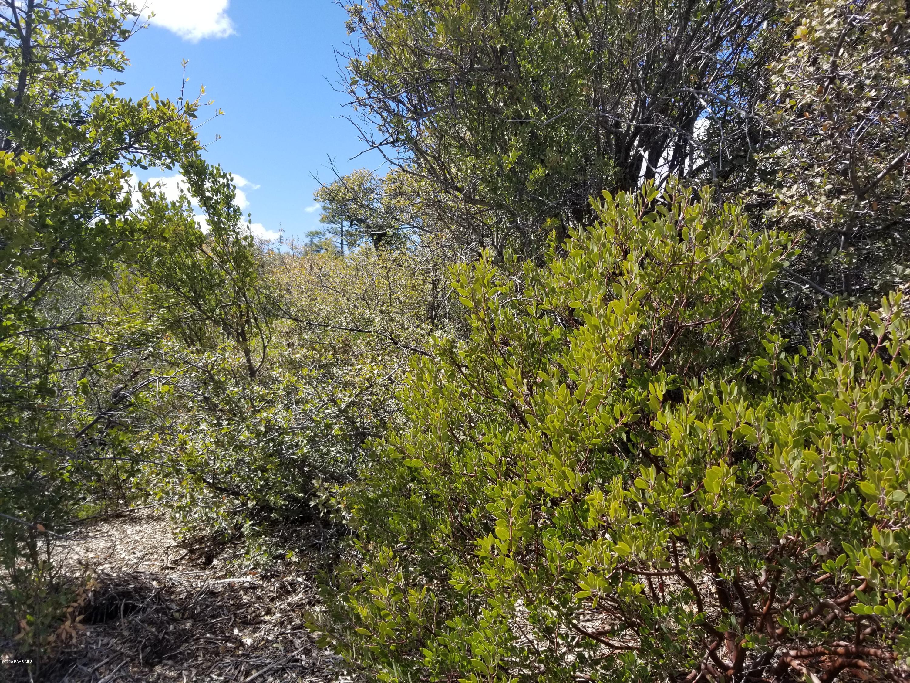1050 High Valley Ranch Road Prescott, AZ 86303 - Photo 18 of 31 a view of a tree