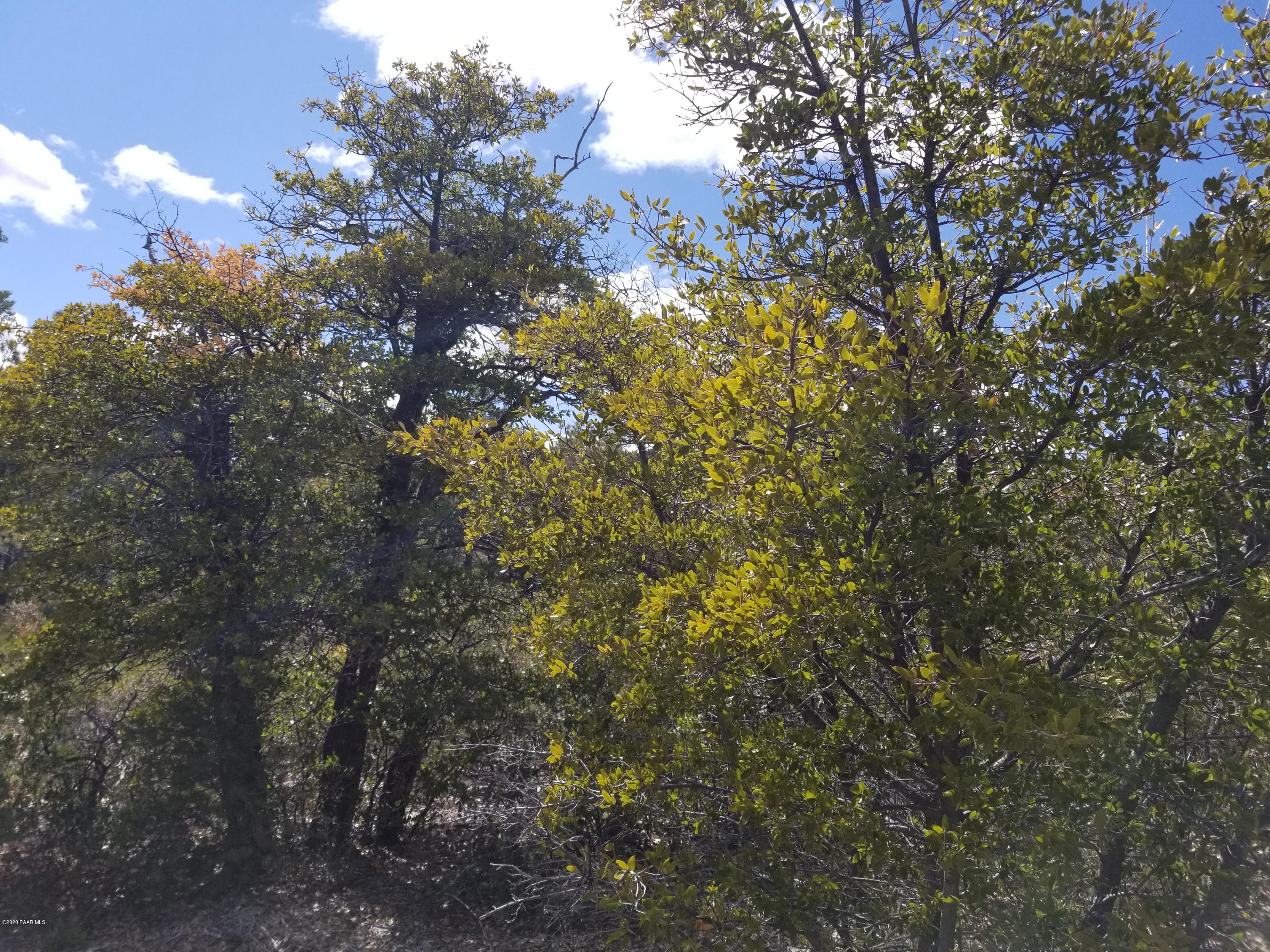 1050 High Valley Ranch Road Prescott, AZ 86303 - Photo 21 of 31 a view of a tree in a yard