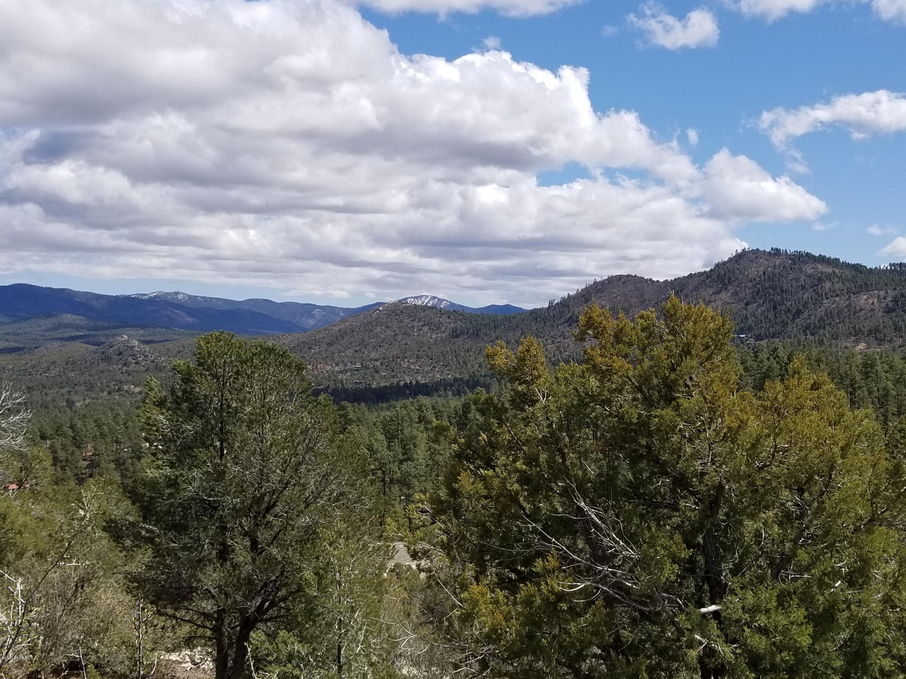 1050 High Valley Ranch Road Prescott, AZ 86303 - Photo 4 of 31 a view of a city with lush green forest
