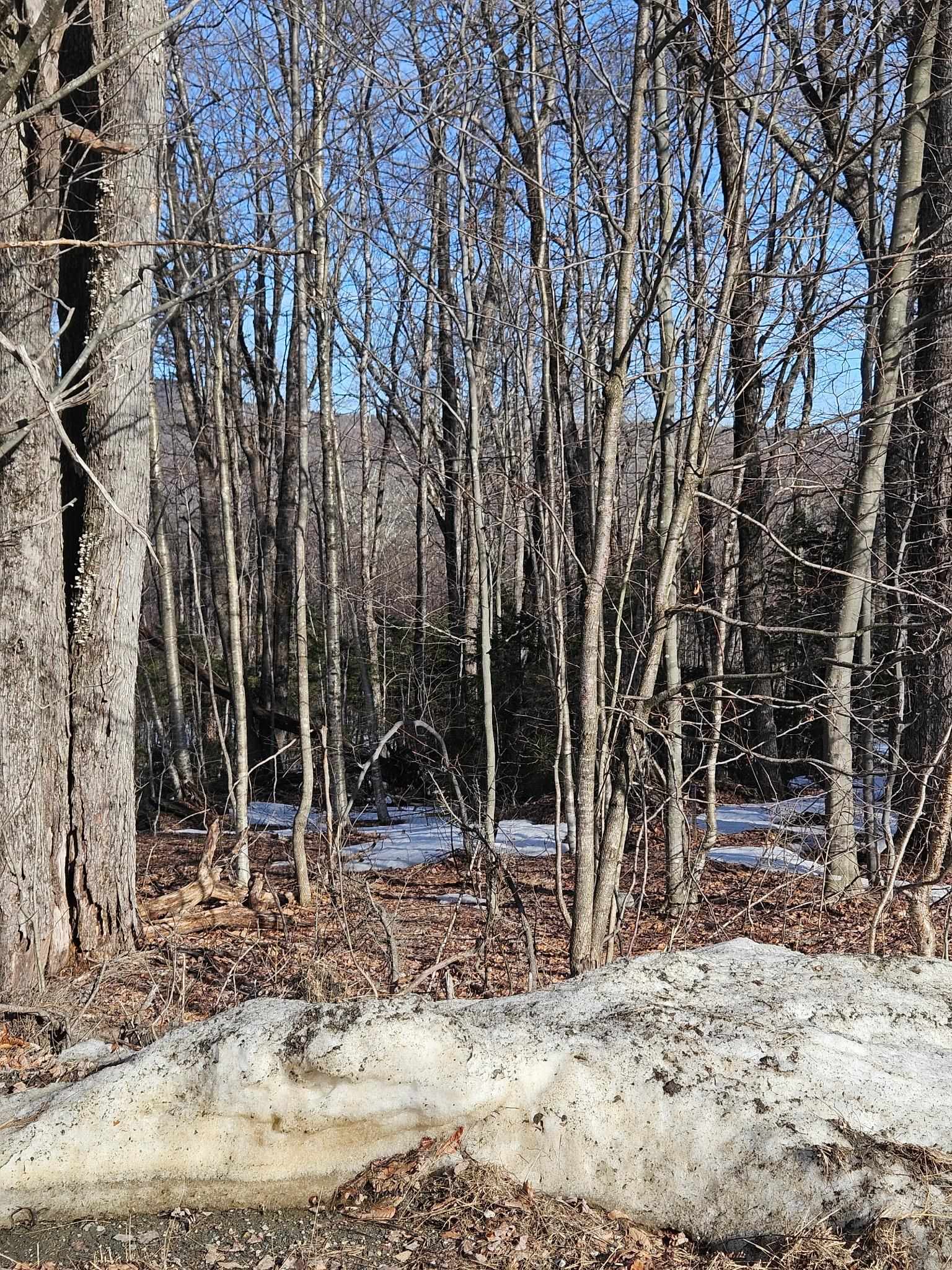 2 Johnson Hill Road West Dover, VT 05356 - Photo 1 of 7