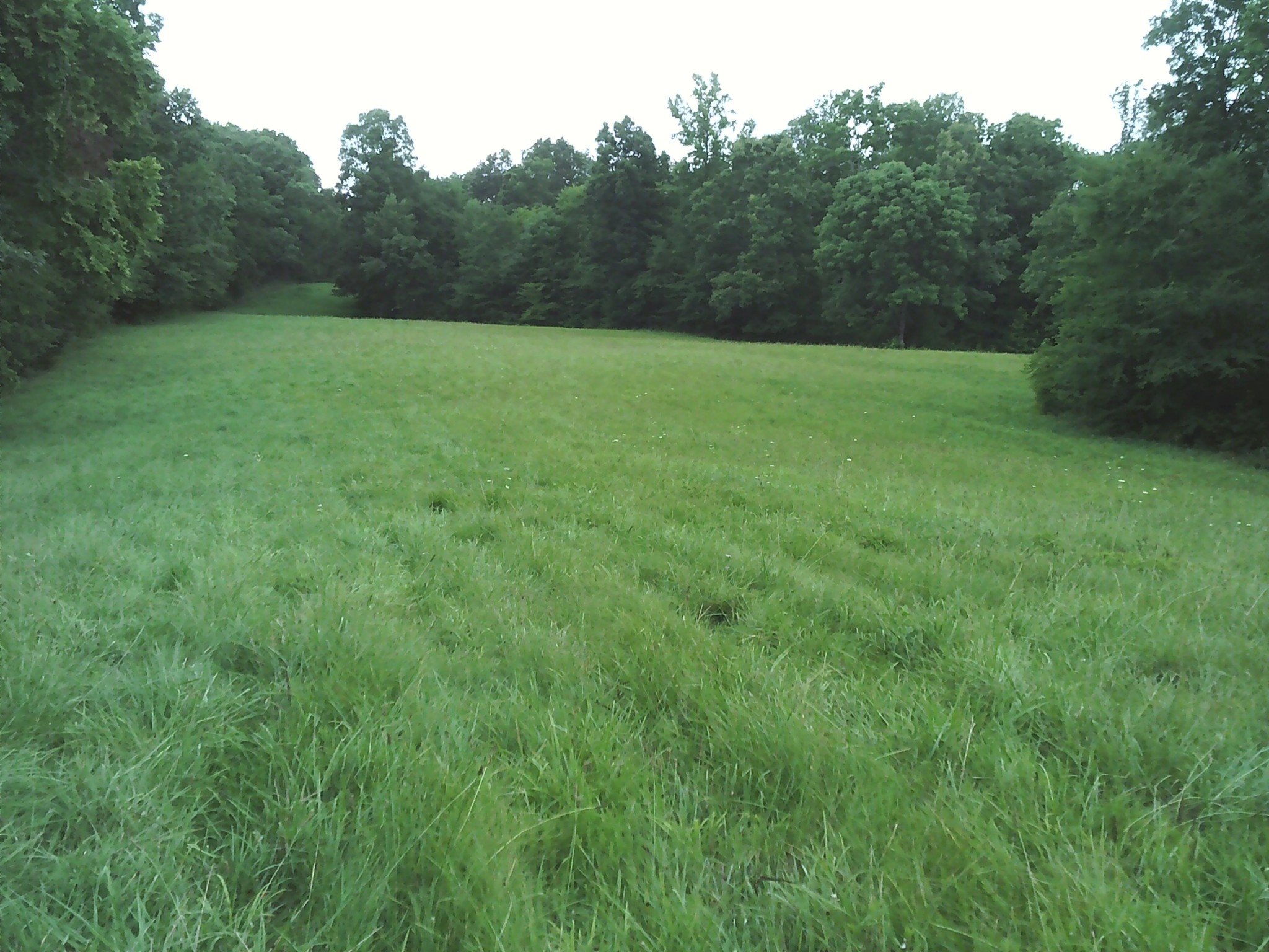 0 Bumpus Mills Road Dover, TN 37058 - Photo 1 of 3 Gallery Image 1