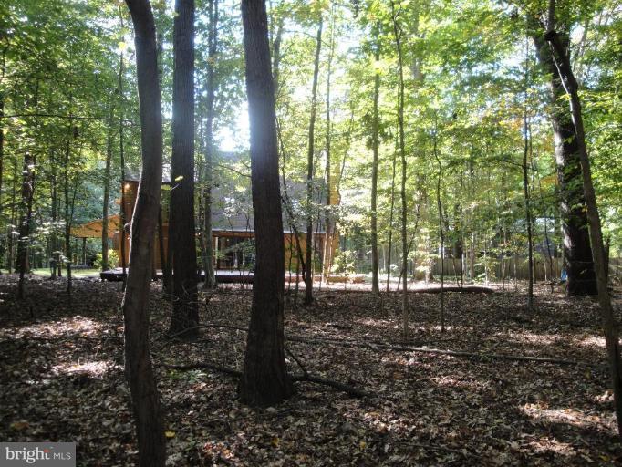 17003 Barn Ridge Drive Silver Spring, MD 20906 - Photo 30 of 30 Wooded View / Acreage