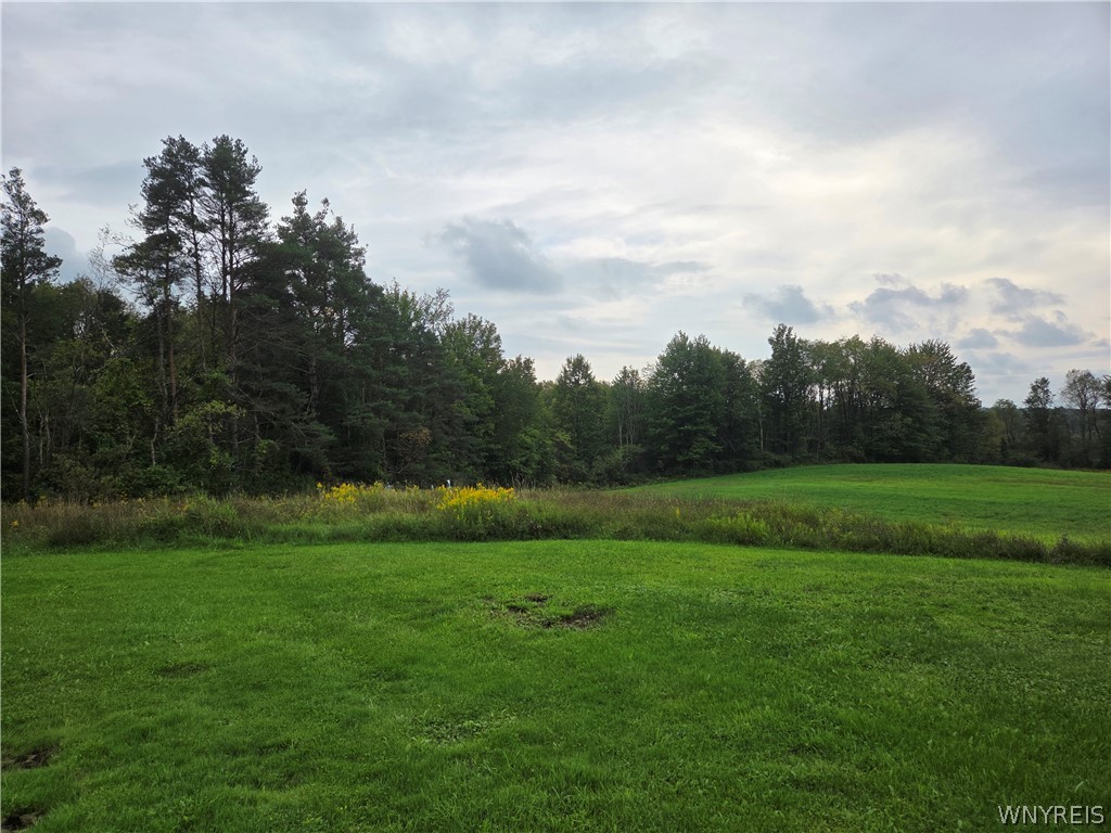 7153 Concord Road Concord, NY 14141 - Photo 21 of 22 Gallery Image 21