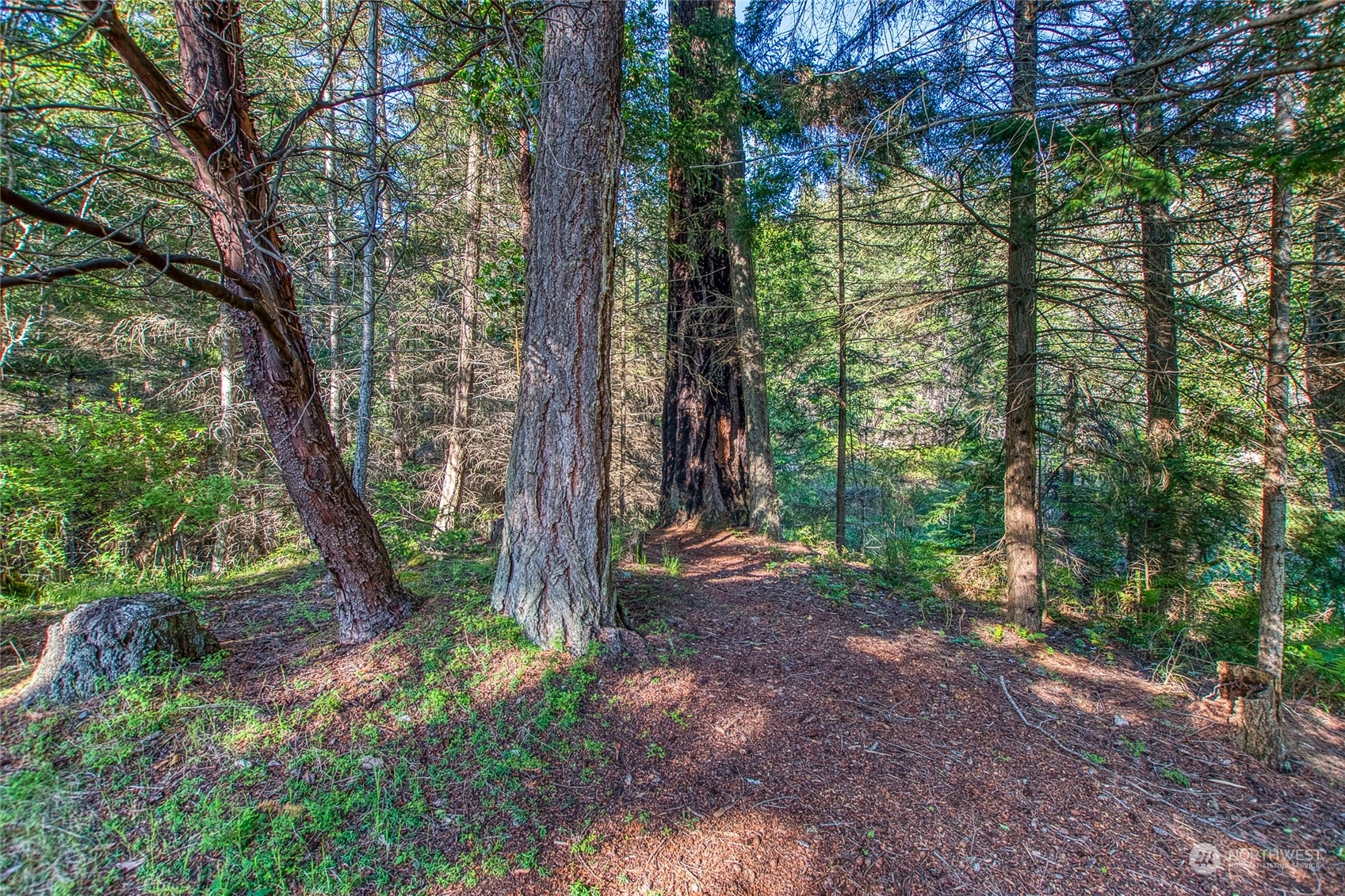 263 Hidden Rdg Trail Orcas Island, WA 98245 - Photo 35 of 38 Gallery Image 35