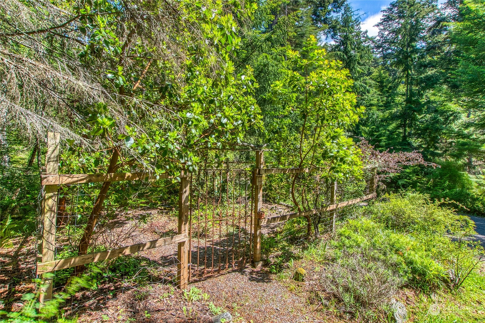 263 Hidden Rdg Trail Orcas Island, WA 98245 - Photo 36 of 38 Gallery Image 36